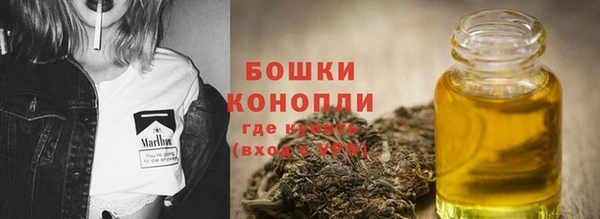 PSILOCYBIN Осташков