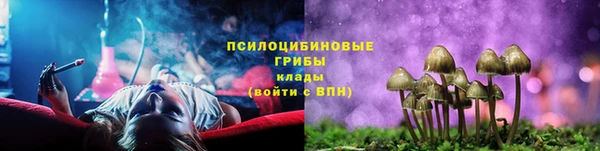трава Нязепетровск