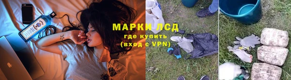 PSILOCYBIN Остров