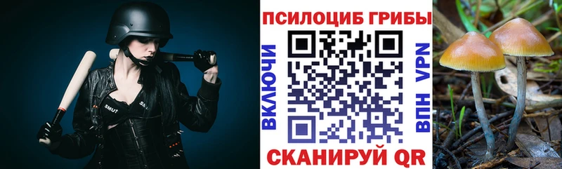 Галлюциногенные грибы Psilocybine cubensis  купить   Алупка 
